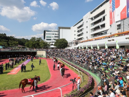 韓国競馬の祭典「コリアカップ」に優勝独占の“日本馬”が出走できない理由