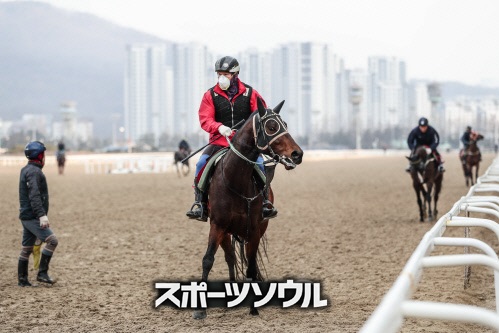 日本と異なる韓国競馬の現実 新型コロナ対策の 無観客 で開催できないワケ スポーツソウル日本版