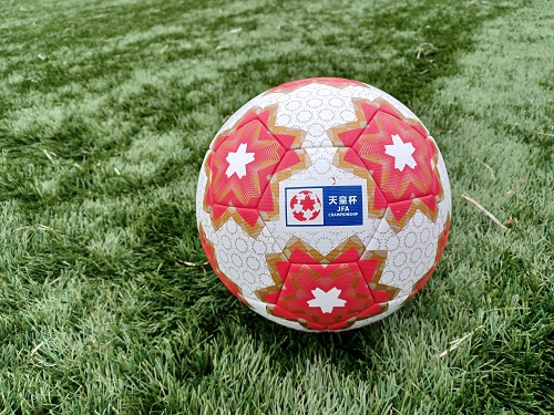 東京都サッカートーナメント、立正大学が初の天皇杯へ。杉田監督「優勝したい気持ちで乗り切れた」