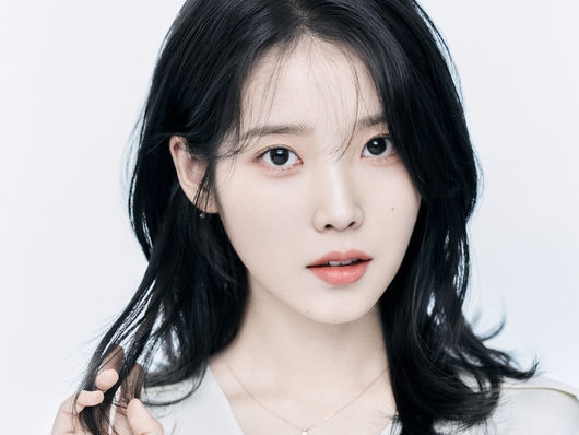 IU　アイユー SONY パズル 500pcs イジウン 韓国限定 C IU アイユー SONY パズル 500pcs イジウン 韓国限定 C IU アイユー
