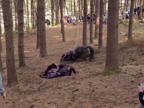 ワイヤーで足を縛り転倒させて落馬シーンを撮影、馬は死亡…“動物虐待”の韓国ドラマ側に非難殺到