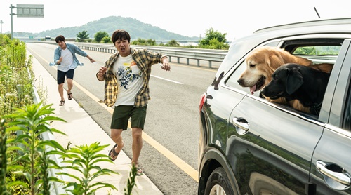 マイ・ハート・パピー