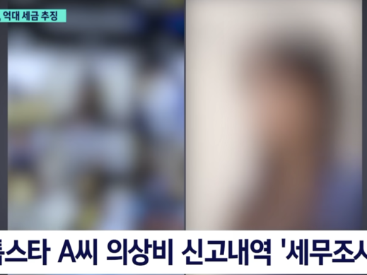 衣装代3億ウォンは芸能活動とは関係ない「個人満足のもの」…韓国トップスターに巨額の追徴金