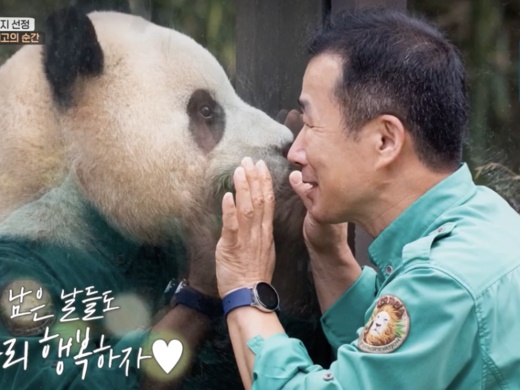 韓国初の「自然繁殖パンダ」として大人気のフーバオ、おじいちゃん飼育員に非難殺到…なぜ？ 