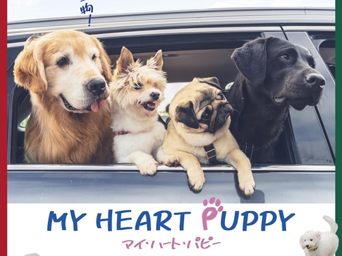 韓国人気俳優が集結、犬好き必見の『マイ・ハート・パピー』の日本公開が決定！