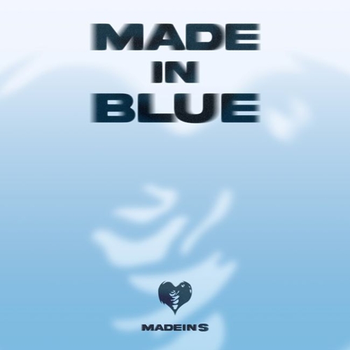 MADEIN S