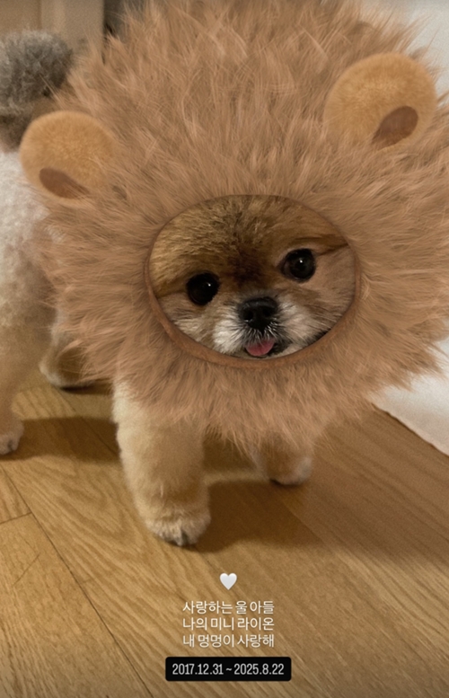 キュリ