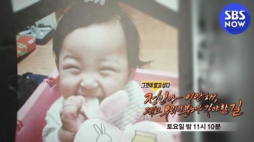 チョンインちゃん