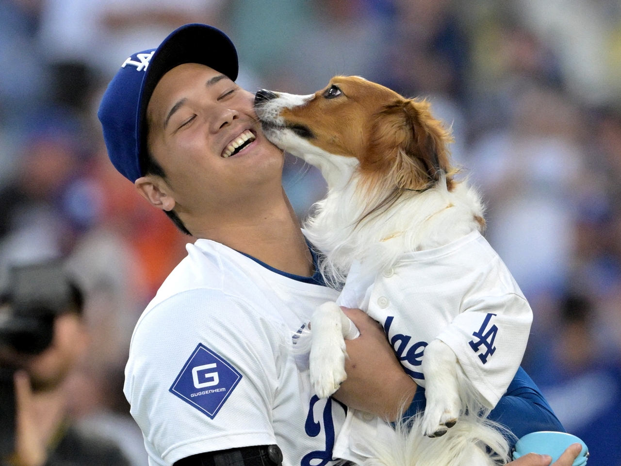 大谷翔平の愛犬デコピン祝福ショットに韓国も胸キュン！「格別な愛情」「心揺さぶられる…」