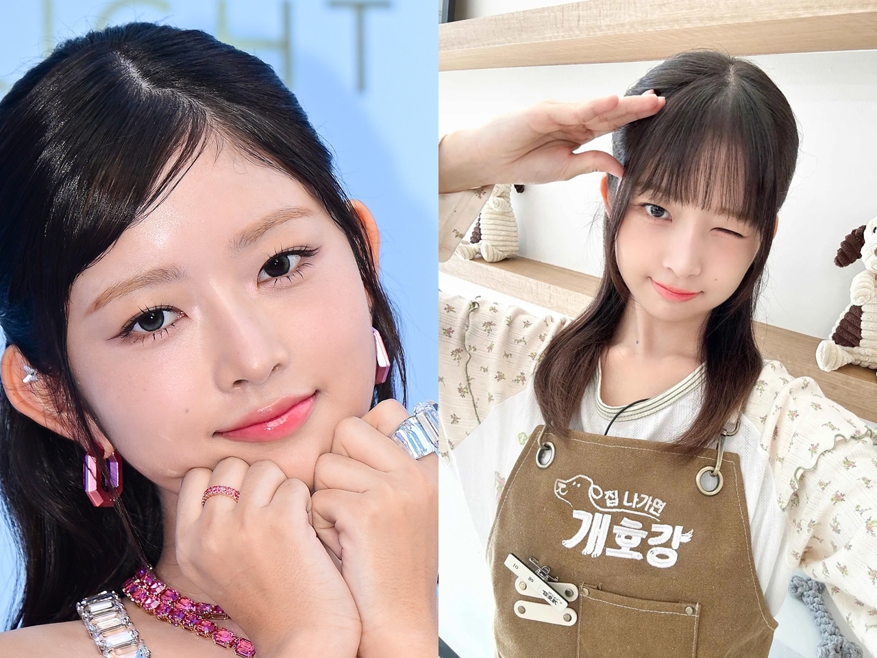 「完璧でなくても」IVE・レイ、すべての犬を幸せにする“幼稚園”で先生を務め…気付いたこととは？