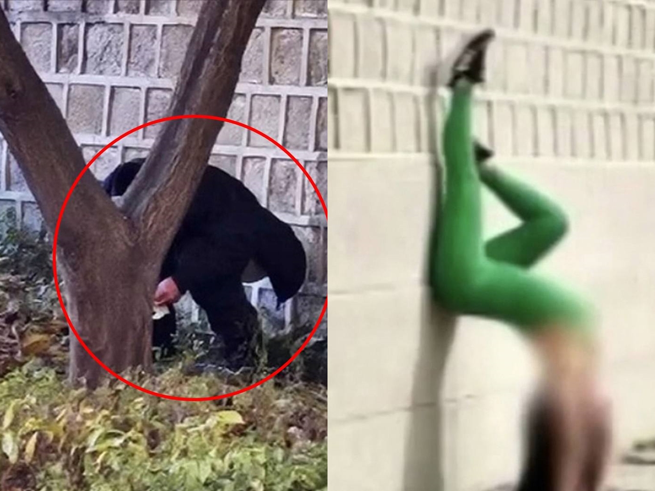 【画像】「最低限の礼儀守れ」ついに“排便”する姿まで　韓国の文化遺産一帯で外国人観光客の迷惑行為、大学教授が怒り