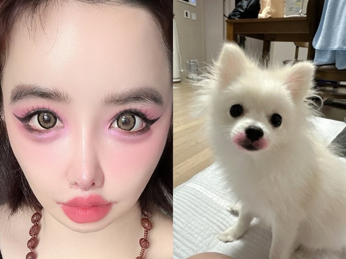 犬に“口紅”塗りたくり炎上　「64272e兆億ウォン」告訴に続いて韓国アイドルがまたしても奇行
