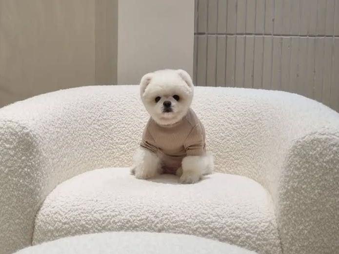 韓国の“SNSスター”が1年前にこの世を去っていた…空港の名誉広報大使務め、人気歌手のMVにも出演