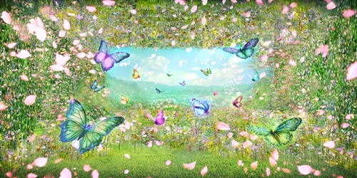 ミュージアム没入イメージ