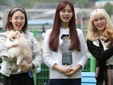 TWICEのナヨン、モモ、ツウィらが愛犬公開!! ペットの悩みや相談も