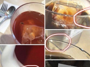 【画像】「東京のパンケーキ店で虫テロに遭った」という韓国人観光客の書き込みが波紋