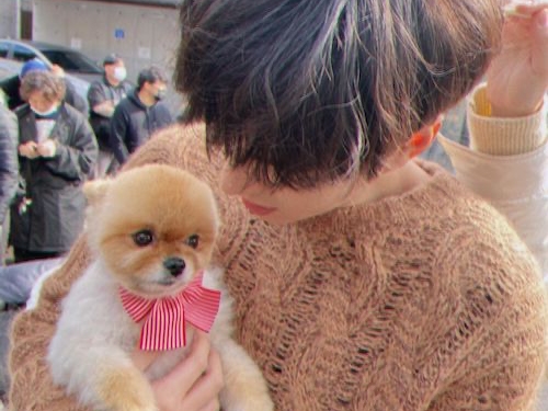 俳優イ・ミンホ、子犬との穏やかなひと時に反響「雑誌のカットみたい」「うらやましい」【PHOTO】