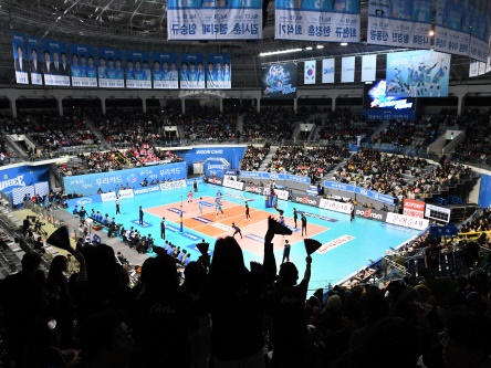 東京五輪予選に伴い一時休息の韓国Vリーグ…前半期は観客数と視聴率で増加傾向見せる