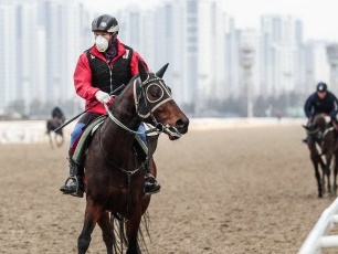 日本と異なる韓国競馬の現実…新型コロナ対策の“無観客”で開催できないワケ