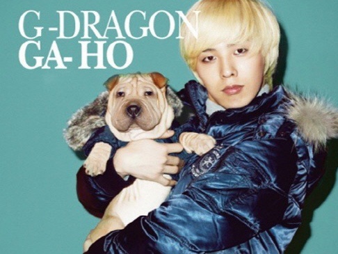 Bigbangのg Dragonはペット犬を放置したのか 1匹は行方不明 すでに買い替えた スポーツソウル日本版