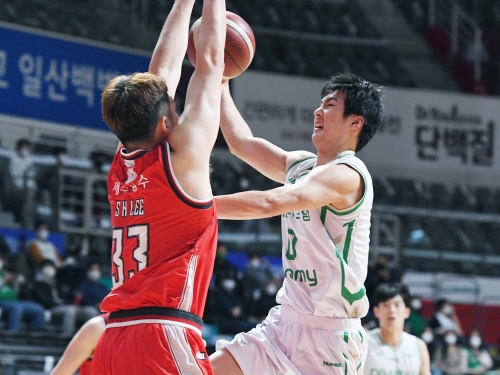 日本の中村太地が韓国プロバスケで出場時間が増えている“手放しで喜べない理由”とは