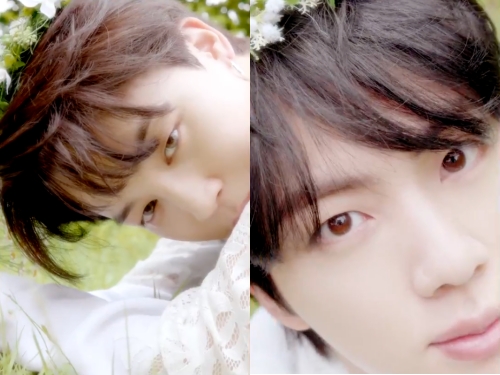 「結婚して」BTS、白シャツで“爽やか王子様”に…コンセプトビデオに反響続々「心臓もたない」【PHOTO】