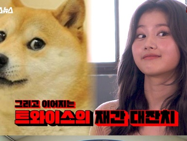 TWICEサナが柴犬の顔マネをまさかの披露!!『文明特急』に期待